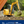 LiuGong 906F Compact Hydraulic Excavator (Year-End Promo)